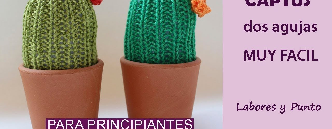 tejer un cactus con punto elástico 1x1 a dos agujas