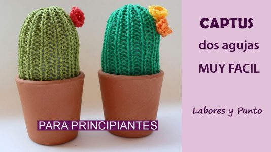 tejer un cactus con punto elástico 1x1 a dos agujas